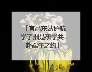 宜昌东站护航学子荆楚研学共赴端午之约