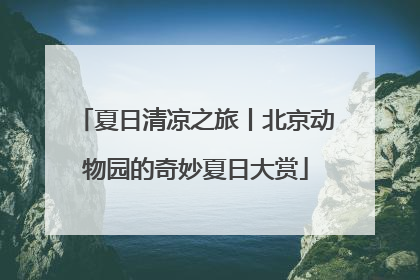 夏日清凉之旅丨北京动物园的奇妙夏日大赏