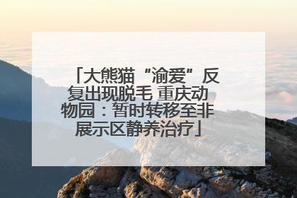 大熊猫“渝爱”反复出现脱毛 重庆动物园：暂时转移至非展示区静养治疗
