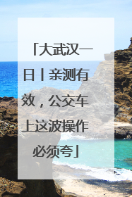大武汉一日丨亲测有效，公交车上这波操作必须夸