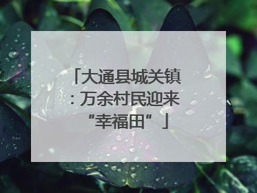 大通县城关镇：万余村民迎来“幸福田”