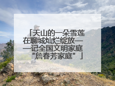 天山的一朵雪莲在聊城灿烂绽放——记全国文明家庭“詹春芳家庭”