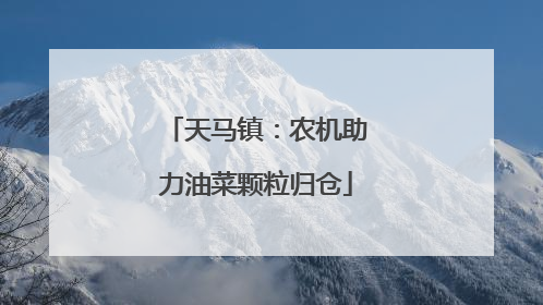 天马镇：农机助力油菜颗粒归仓