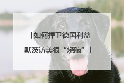 如何捍卫德国利益 默茨访美很“烧脑”