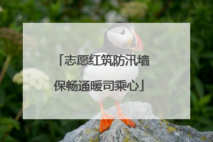 志愿红筑防汛墙 保畅通暖司乘心