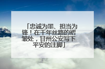 忠诚为墨、担当为锋！在千年丝路的褶皱处，甘州公安写下平安的注脚
