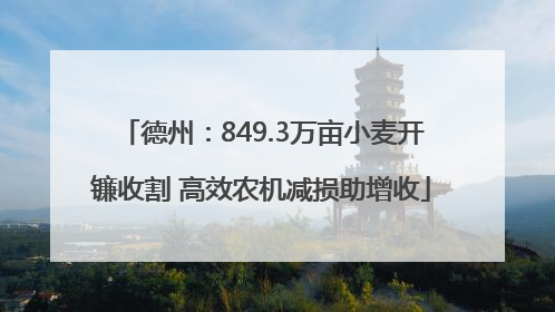 德州：849.3万亩小麦开镰收割 高效农机减损助增收