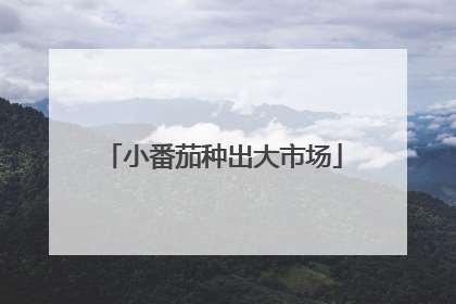 小番茄种出大市场