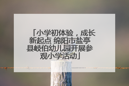 小学初体验，成长新起点 绵阳市盐亭县岐伯幼儿园开展参观小学活动