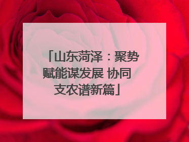 山东菏泽：聚势赋能谋发展 协同支农谱新篇