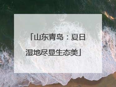 山东青岛：夏日湿地尽显生态美