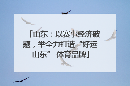 山东：以赛事经济破题，举全力打造“好运山东” 体育品牌