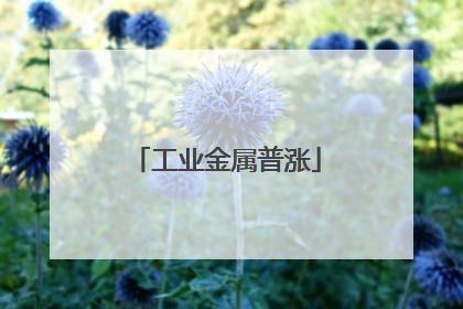 工业金属普涨
