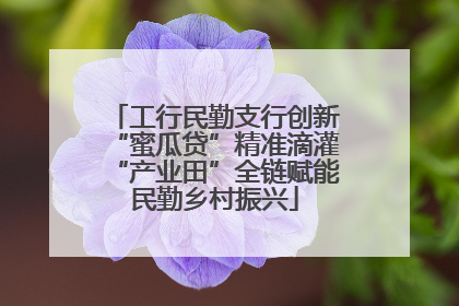 工行民勤支行创新“蜜瓜贷”精准滴灌“产业田”全链赋能民勤乡村振兴