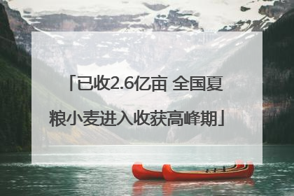 已收2.6亿亩 全国夏粮小麦进入收获高峰期