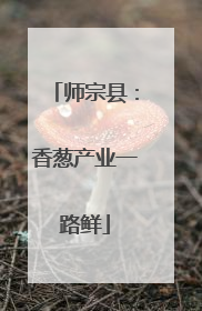 师宗县：香葱产业一路鲜