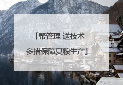 帮管理 送技术 多措保障夏粮生产