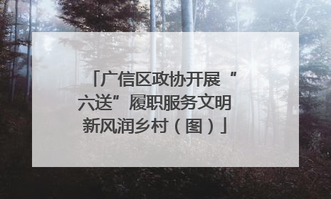 广信区政协开展“六送”履职服务文明新风润乡村（图）