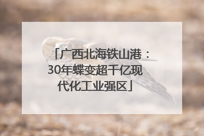 广西北海铁山港：30年蝶变超千亿现代化工业强区