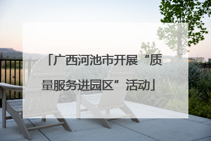 广西河池市开展“质量服务进园区”活动