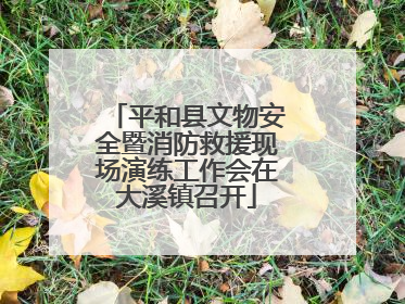 平和县文物安全暨消防救援现场演练工作会在大溪镇召开