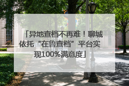 异地查档不再难！聊城依托“在鲁查档”平台实现100%满意度