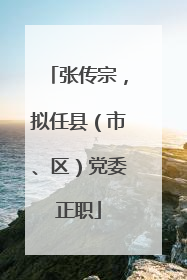 张传宗，拟任县（市、区）党委正职