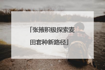张掖积极探索麦田套种新路径