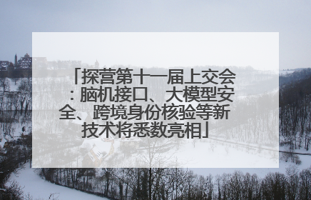 探营第十一届上交会：脑机接口、大模型安全、跨境身份核验等新技术将悉数亮相
