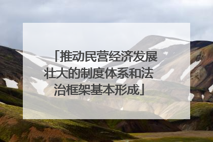 推动民营经济发展壮大的制度体系和法治框架基本形成