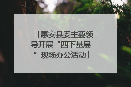惠安县委主要领导开展“四下基层”现场办公活动