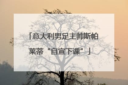 意大利男足主帅斯帕莱蒂“自宣下课”