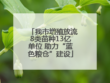 我市增殖放流8类苗种13亿单位 助力“蓝色粮仓”建设