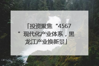 投资聚焦“4567”现代化产业体系，黑龙江产业换新景