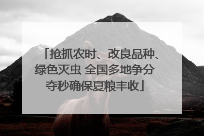 抢抓农时、改良品种、绿色灭虫 全国多地争分夺秒确保夏粮丰收