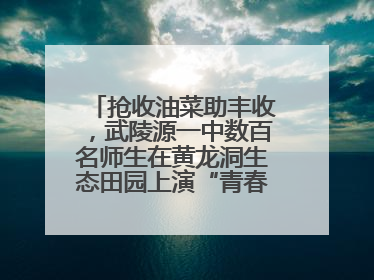 抢收油菜助丰收，武陵源一中数百名师生在黄龙洞生态田园上演“青春助农记”