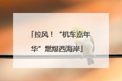 拉风！“机车嘉年华”燃爆西海岸