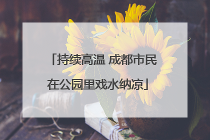 持续高温 成都市民在公园里戏水纳凉