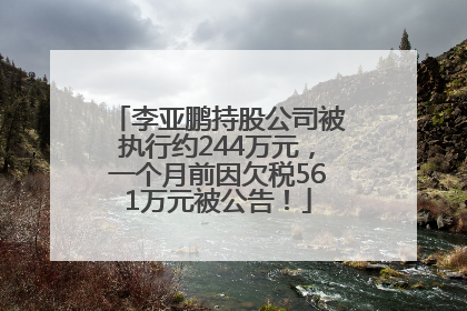 李亚鹏持股公司被执行约244万元，一个月前因欠税561万元被公告！