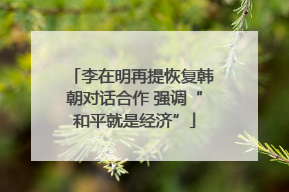 李在明再提恢复韩朝对话合作 强调“和平就是经济”
