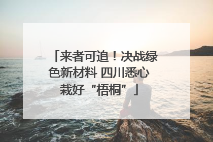 来者可追！决战绿色新材料 四川悉心栽好“梧桐”
