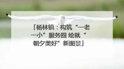 杨林镇：构筑“一老一小”服务圈 绘就“朝夕美好”新图景