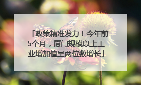 政策精准发力！今年前5个月，厦门规模以上工业增加值呈两位数增长