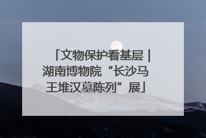 文物保护看基层｜湖南博物院“长沙马王堆汉墓陈列”展