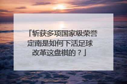 斩获多项国家级荣誉 定南是如何下活足球改革这盘棋的？