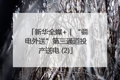新华全媒+｜“疆电外送”第三通道投产送电 (2)