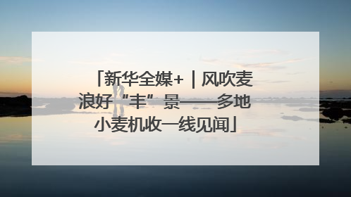 新华全媒+｜风吹麦浪好“丰”景——多地小麦机收一线见闻