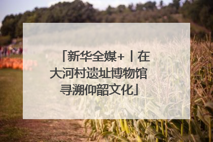 新华全媒+丨在大河村遗址博物馆寻溯仰韶文化