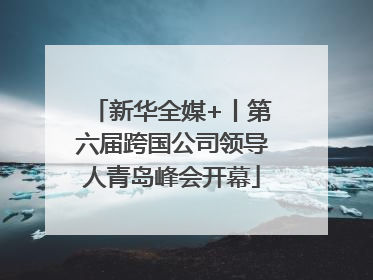 新华全媒+丨第六届跨国公司领导人青岛峰会开幕