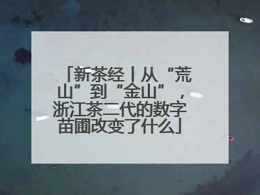 新茶经丨从“荒山”到“金山”，浙江茶二代的数字苗圃改变了什么